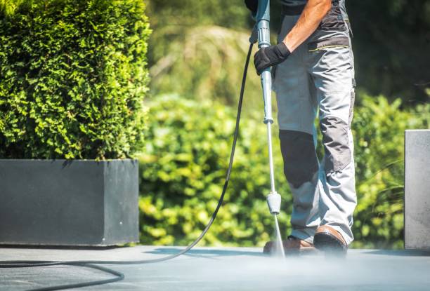 Best Paint Preparation  in Thermal, CA